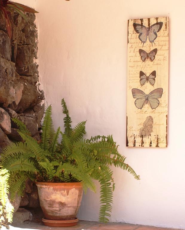 Casa Creativa ξενώνας Hermigua Εξωτερικό φωτογραφία